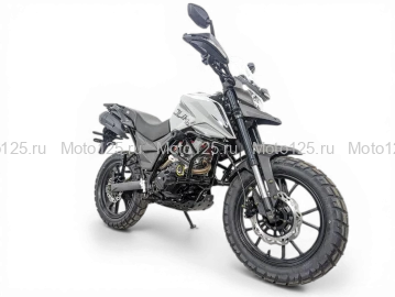 Мотоцикл Regulmoto DUKE PRO (серый)