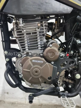 Мотоцикл Regulmoto ZZ PR 300 6 передач с ПТС