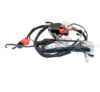 Жгут электропроводки Regulmoto CR-Z 300