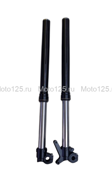 Амортизаторы передние Regulmoto Athlete PRO Ø41