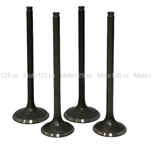 Комплект клапанов впуск/выпуск CB250/300 ( 172/175FMM ) 4 клапана