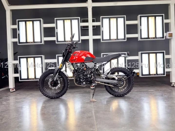 Мотоцикл Regulmoto FARGO 300 красный (RM)