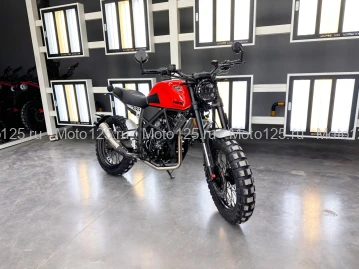 Мотоцикл Regulmoto FARGO 300 красный (RM)